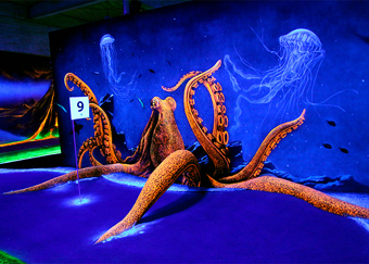 3D effect octopus